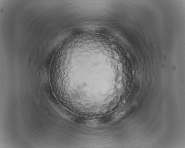 X0000074310411200609011517