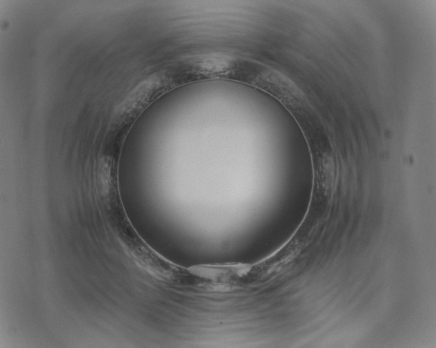 X0000074310412200609011517