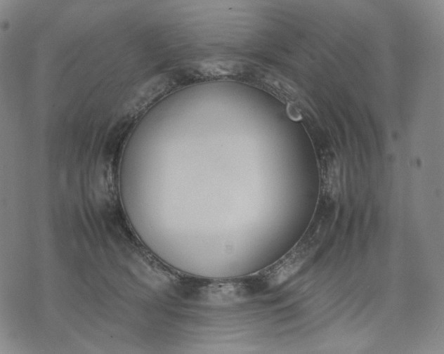 X0000074310418200609011517