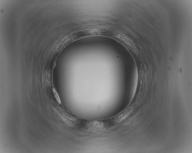 X0000074310421200609011517