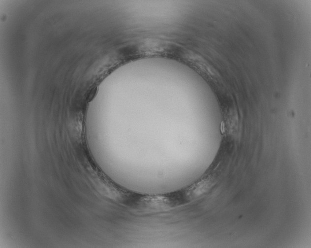 X0000074310427200609011517