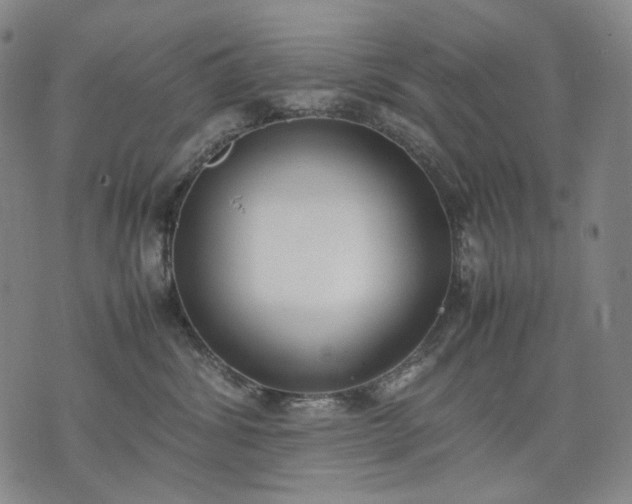 X0000074310428200609011517