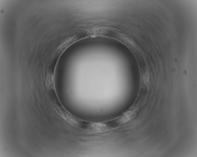 X0000074310429200609011517