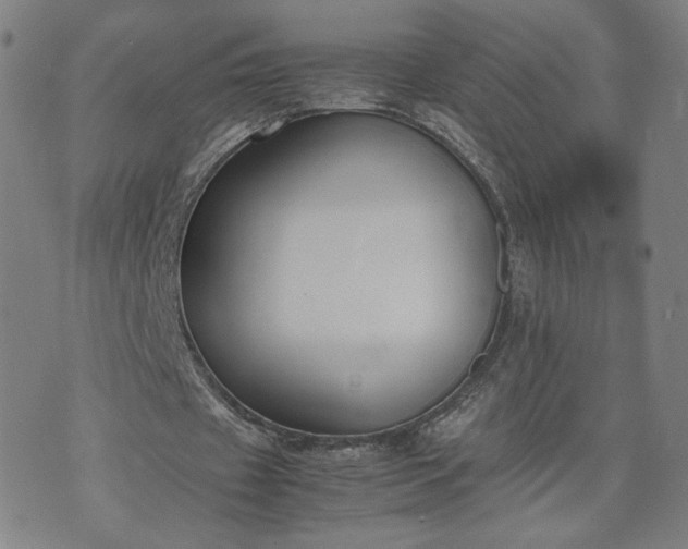 X0000074310433200609011516