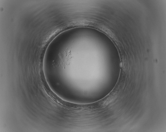 X0000074310434200609011516