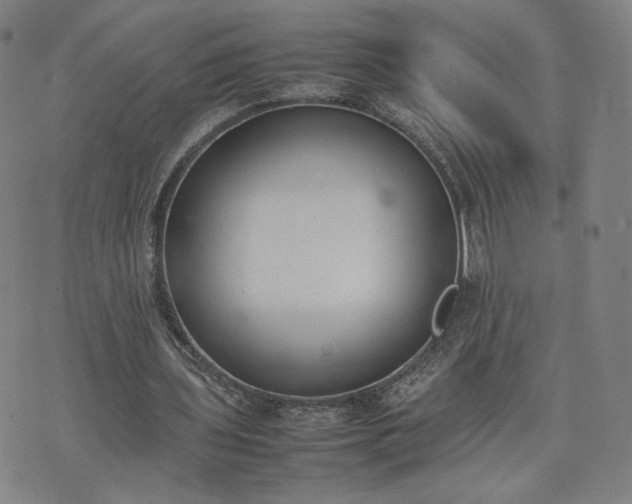 X0000074310435200609011516