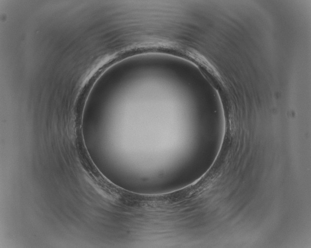 X0000074310436200609011516