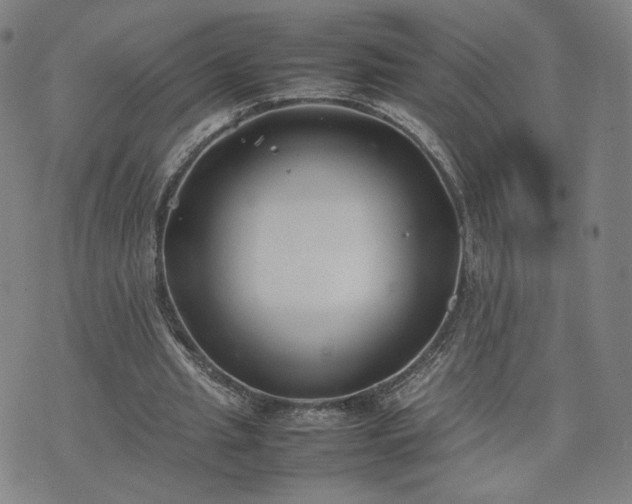 X0000074310437200609011516