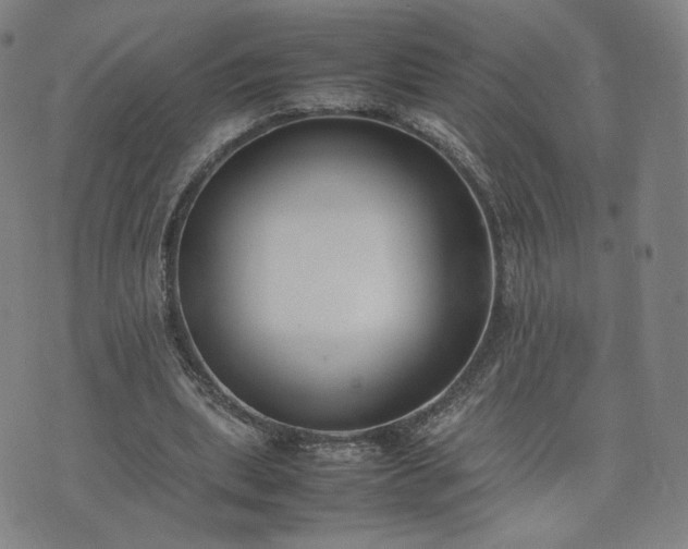 X0000074310439200609011516