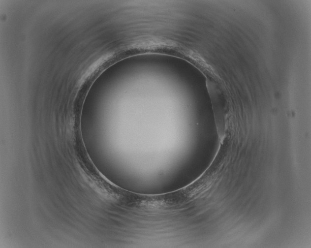 X0000074310440200609011516