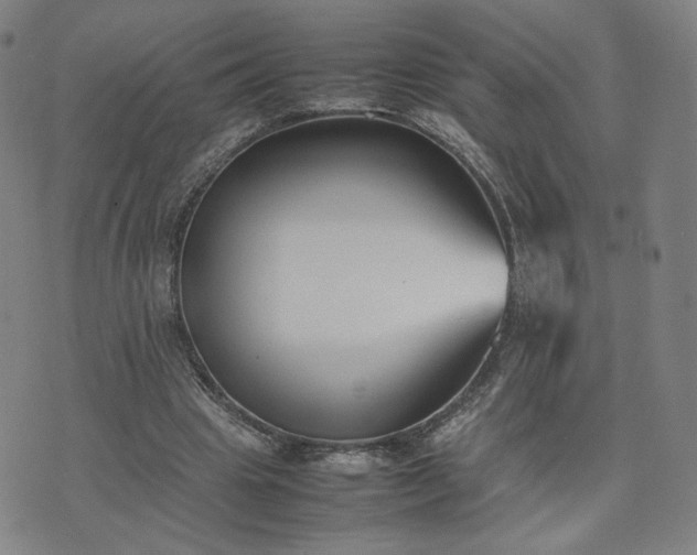 X0000074310441200609011516