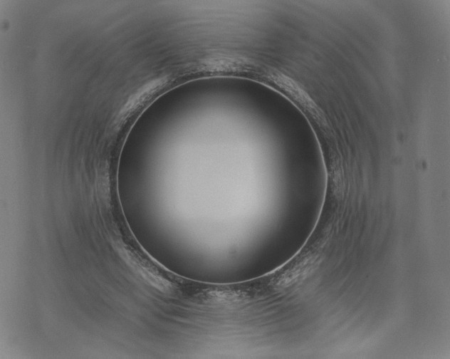 X0000074310442200609011516