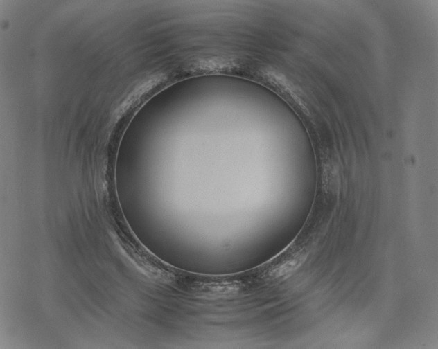 X0000074310443200609011516