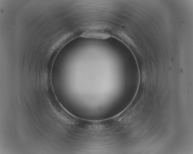 X0000074310444200609011516