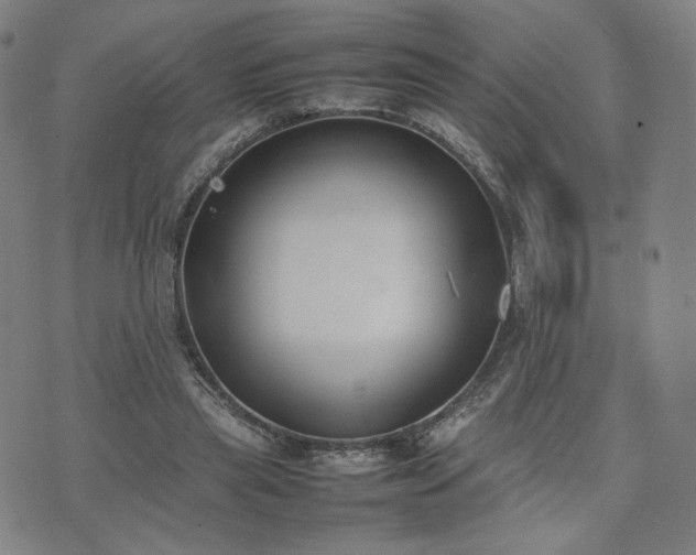 X0000074310445200609011516