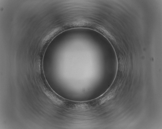 X0000074310446200609011516