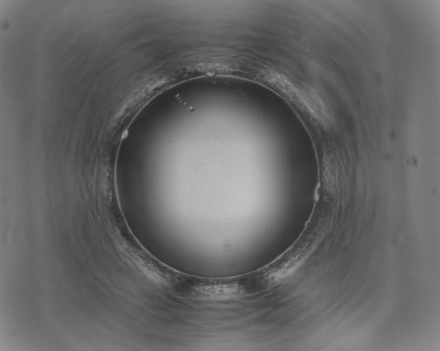 X0000074310449200609011516