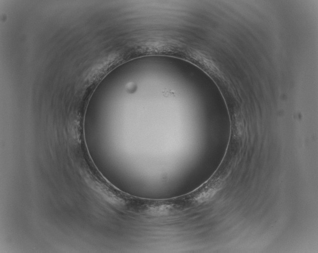 X0000074310450200609011516