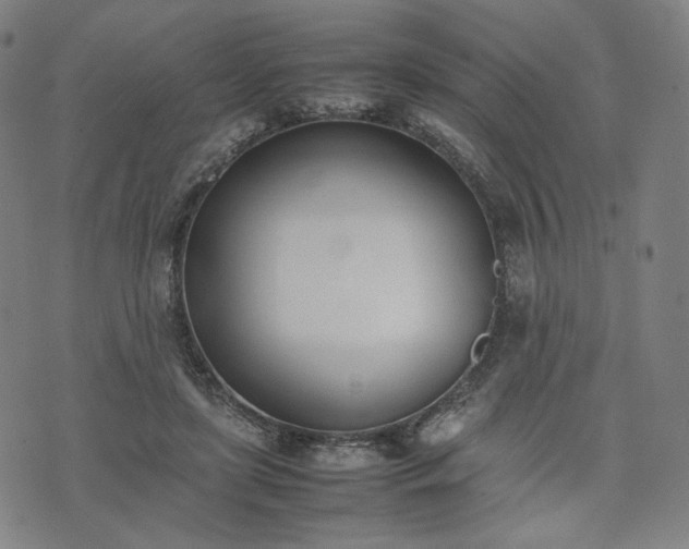 X0000074310451200609011516