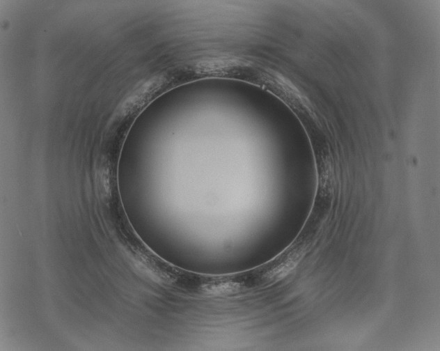 X0000074310452200609011516