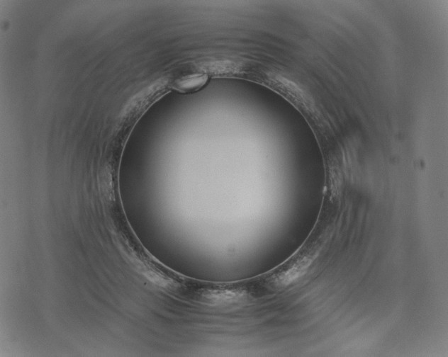 X0000074310453200609011516