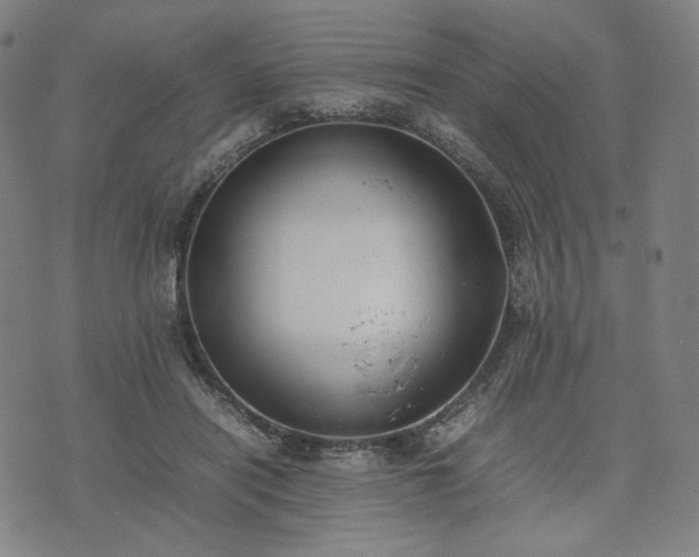 X0000074310454200609011516