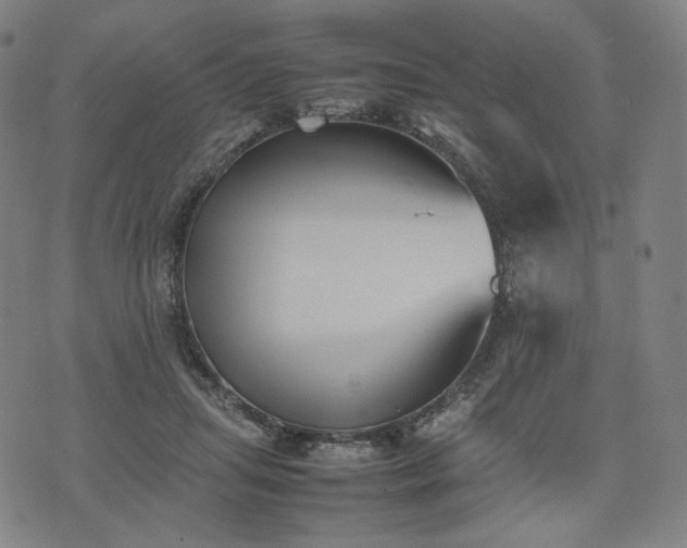 X0000074310455200609011516