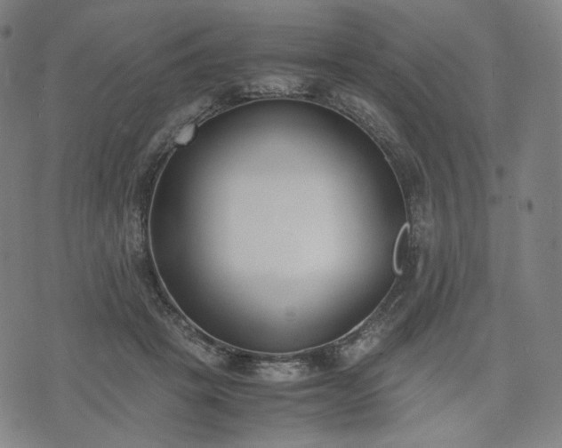 X0000074310457200609011516