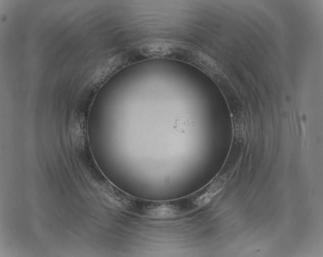 X0000074310460200609011517