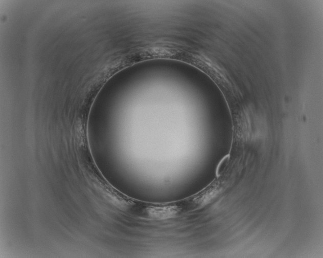 X0000074310465200609011517