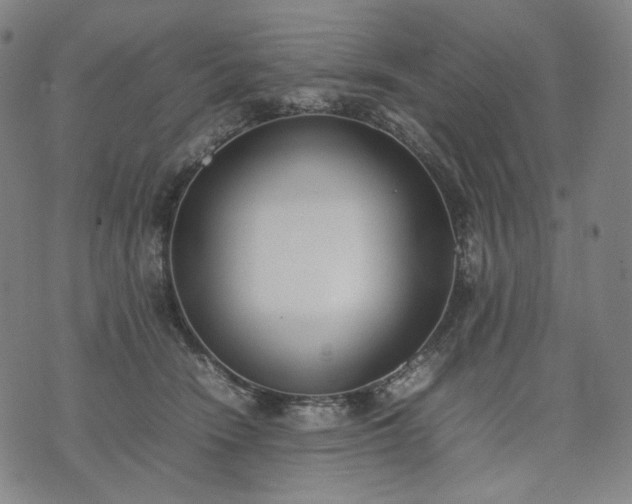 X0000074310466200609011517