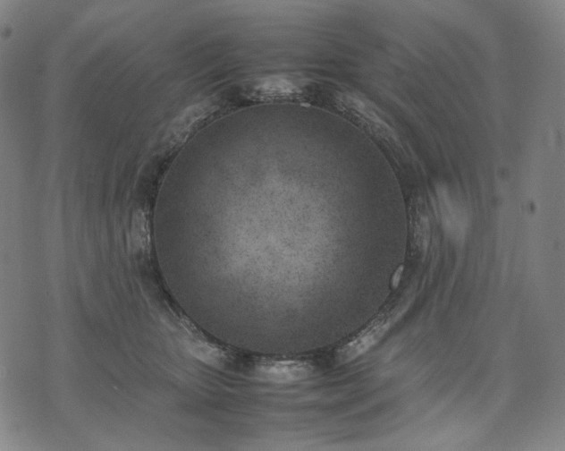 X0000074310467200609011517