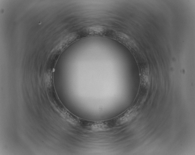 X0000074310468200609011517