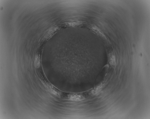 X0000074310471200609011517