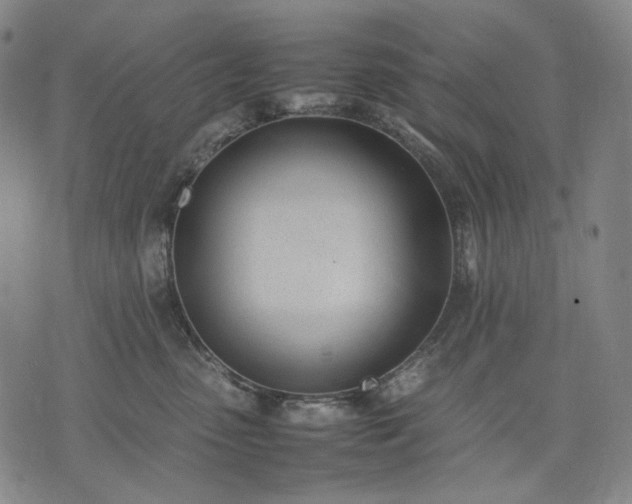 X0000074310475200609011517