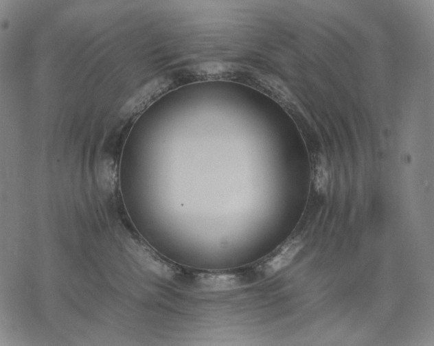 X0000074310476200609011517