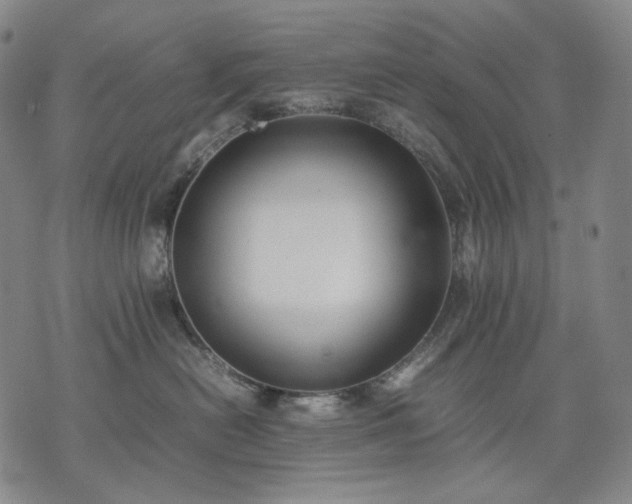 X0000074310478200609011517