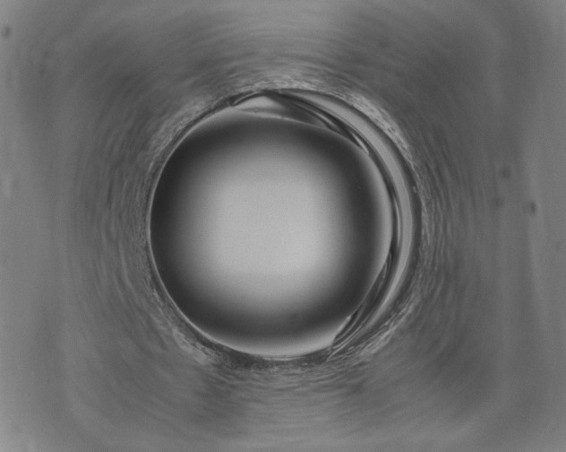 X0000074310481200609011516