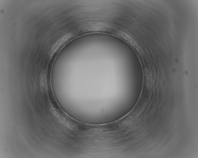 X0000074310482200609011516