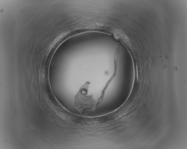 X0000074310483200609011516