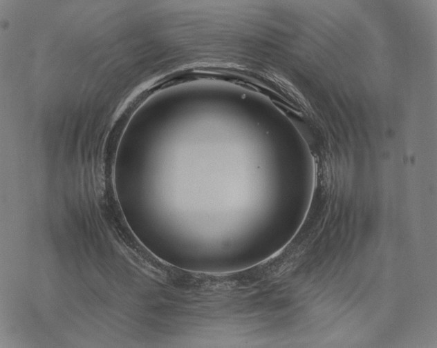 X0000074310484200609011516