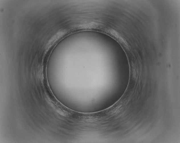 X0000074310486200609011516