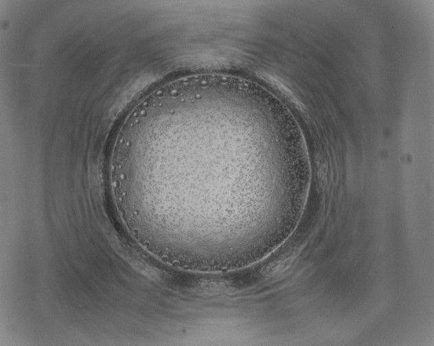 X0000074310487200609011516