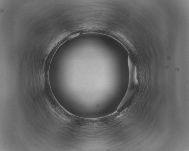 X0000074310488200609011516