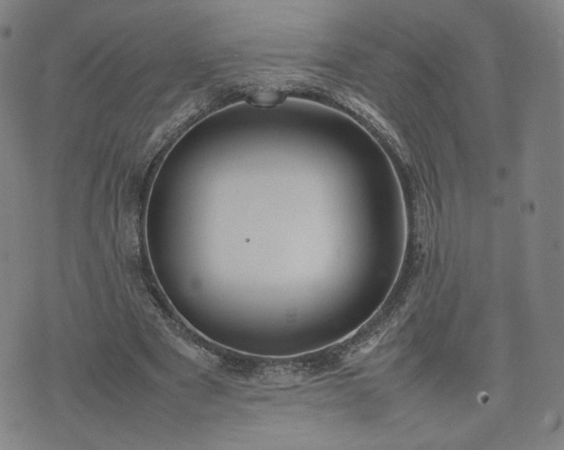 X0000074310489200609011516