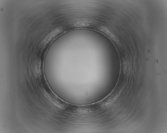 X0000074310490200609011516