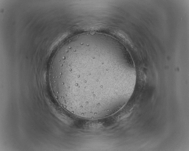 X0000074310491200609011516