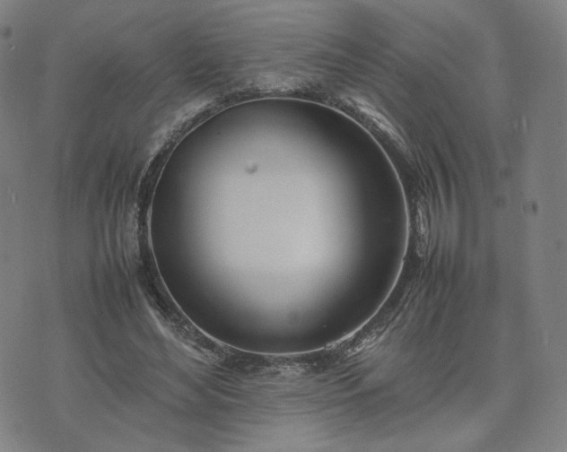 X0000074310492200609011516