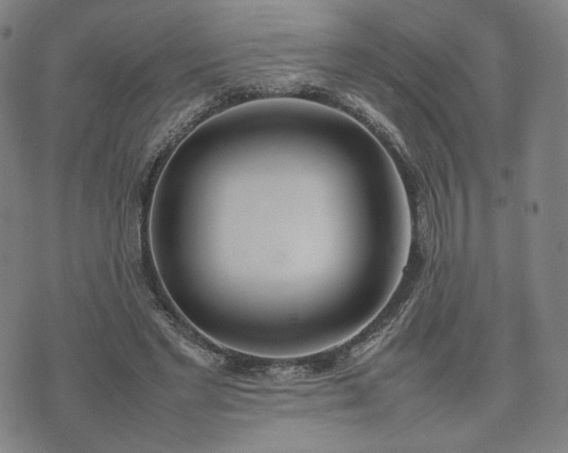 X0000074310493200609011516