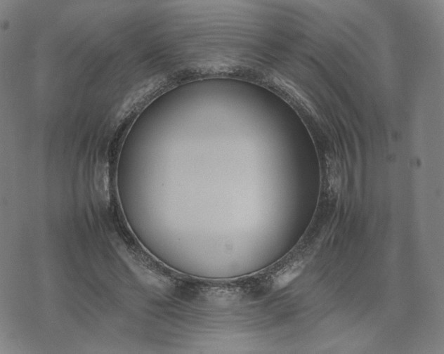 X0000074310494200609011516